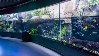 Национальный аквариум Дании Den Blå Planet, Копенгаген, Дания